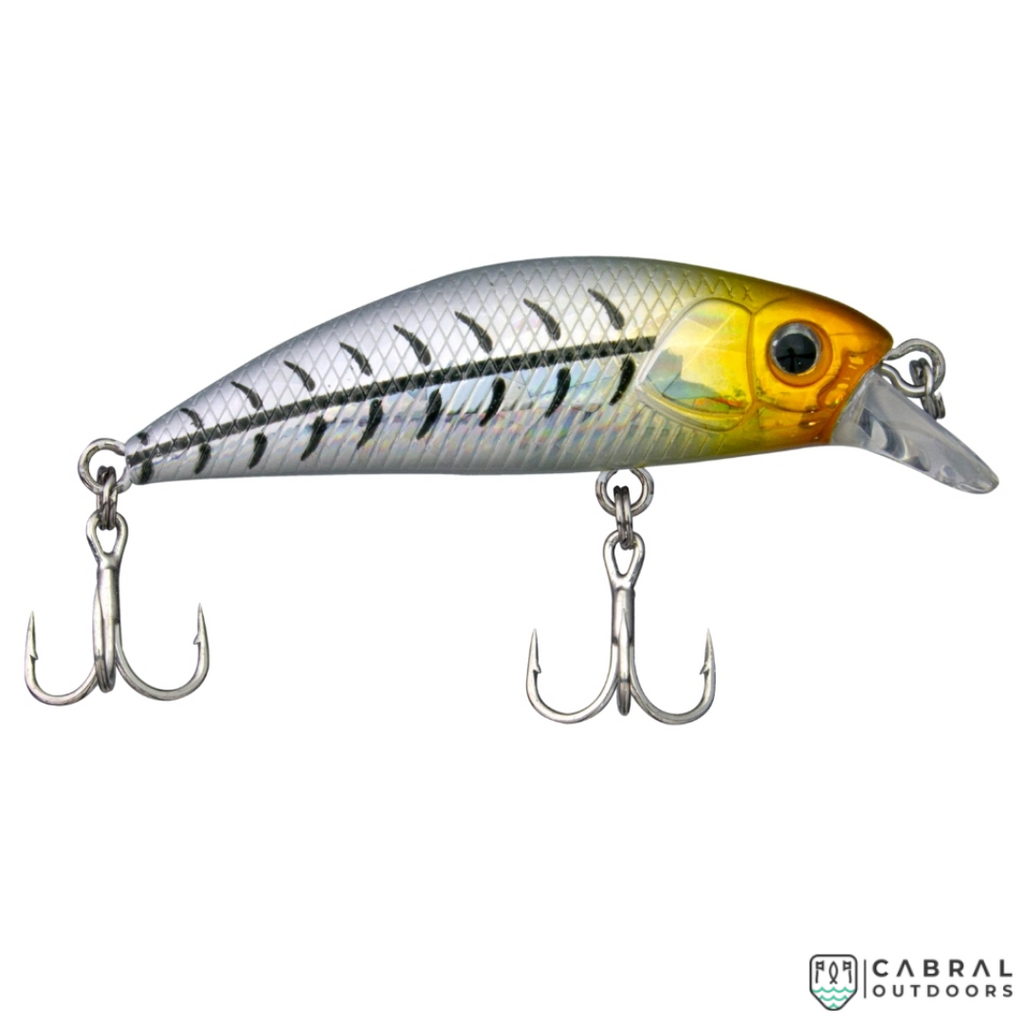 Thirsty's INCREDIBLE LURE DEAL - 56 Crank Baits Assorted Minnow Lures –  Thirsty Buyer