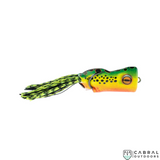 Scum Frog Trophy Series Popper| 2.5" (6.35cm) | 15g  Popping Frog  Scum frog  Cabral Outdoors  