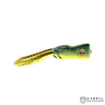 Scum Frog Trophy Series Popper| 2.5" (6.35cm) | 15g  Popping Frog  Scum frog  Cabral Outdoors  