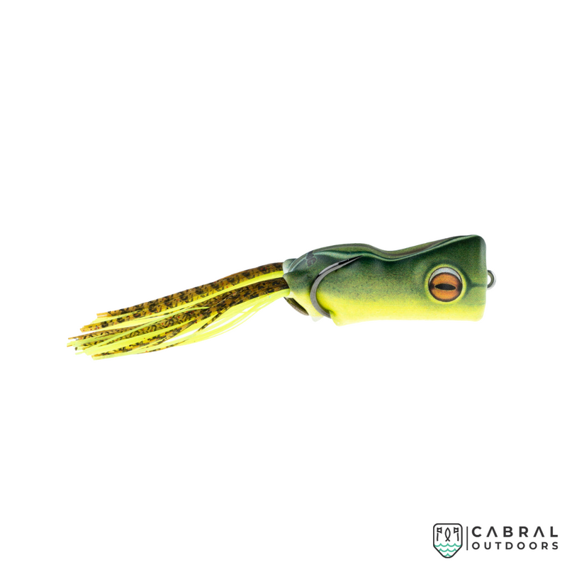 Scum Frog Trophy Series Popper| 2.5" (6.35cm) | 15g  Popping Frog  Scum frog  Cabral Outdoors  