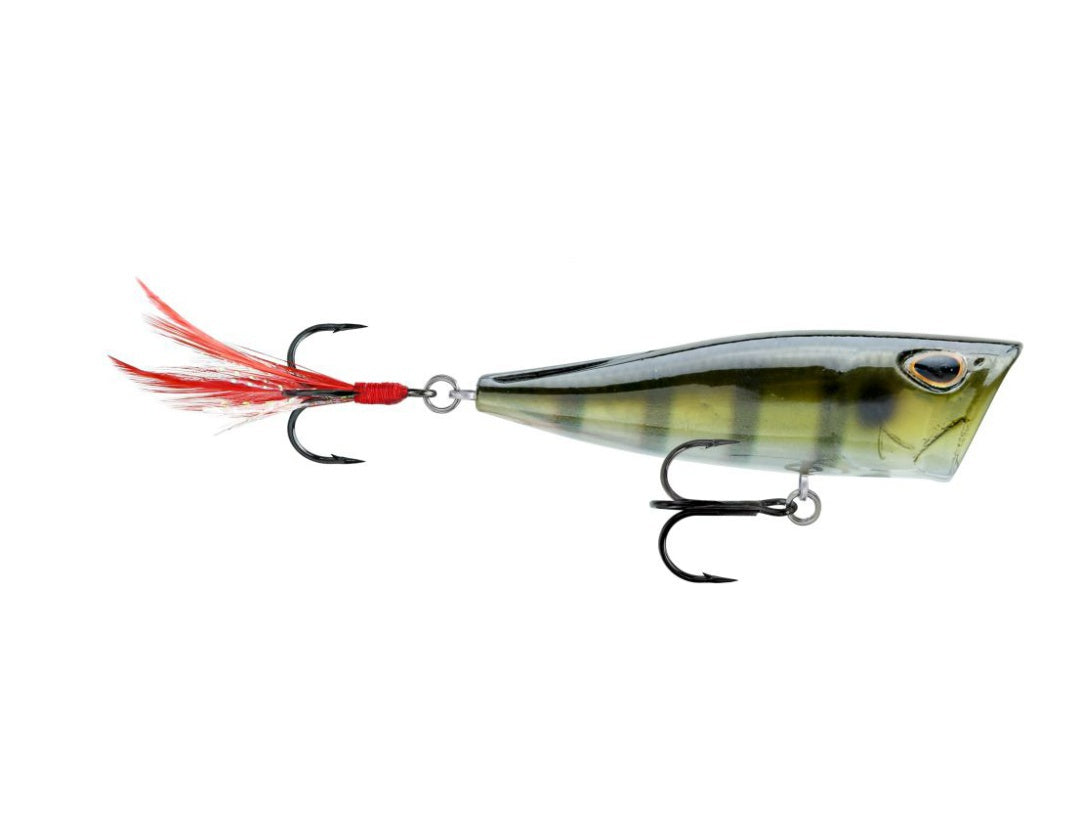 Storm Arashi Rattling Cover Pop Hard lure 8cm/14g, 1pcs/pkt popper  Popper  Storm  Cabral Outdoors  