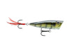 Storm Arashi Rattling Cover Pop Hard lure 8cm/14g, 1pcs/pkt popper  Popper  Storm  Cabral Outdoors  