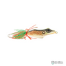 Mega Frox Jumbo Frog 6.5cm | 17.5g | 1pcs/pck  Thai Frog  Lures Factory  Cabral Outdoors  