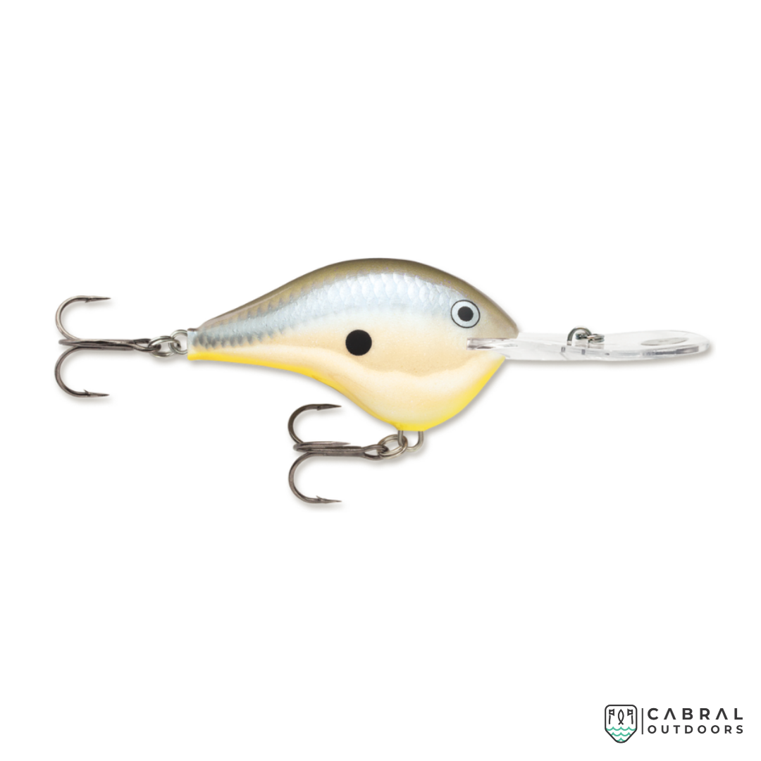 Rapala DT-20 | Size: 7cm | 25g, 1pcs/pkt  Crank Baits  Rapala  Cabral Outdoors  