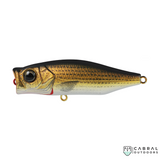 Zerek  GOBBLE 70 TOPWATER 70mm | 12g | #6    Zerek  Cabral Outdoors  