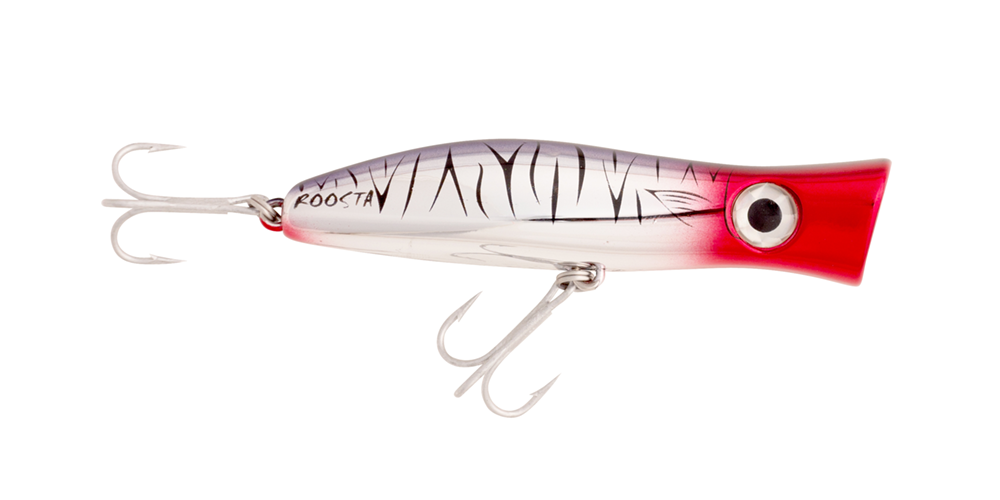 Halco Roosta Popper 105 Hard Lure 105mm/30g,1pcs/pkt  Popper  Halco  Cabral Outdoors  