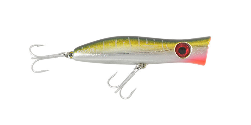 Halco Roosta Popper 105 Hard Lure 105mm/30g,1pcs/pkt  Popper  Halco  Cabral Outdoors  