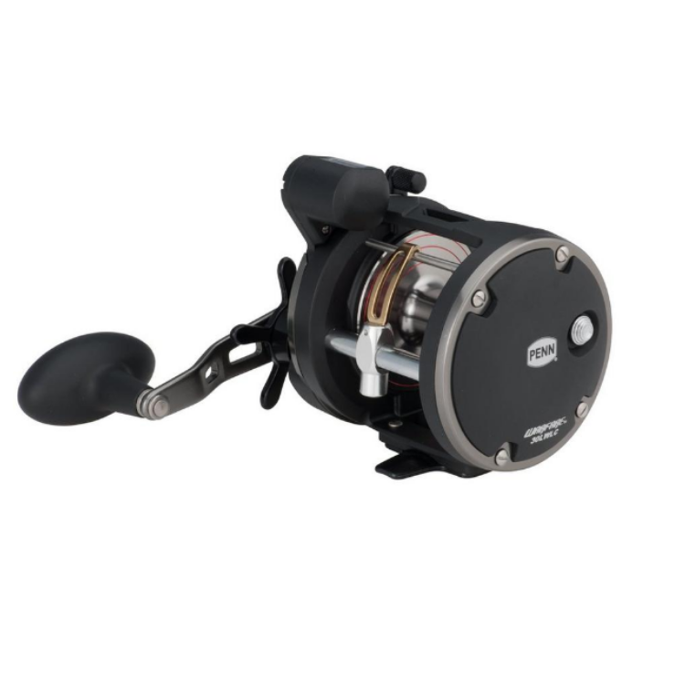 PENN WARFARE Series Trolling Baitcasting Reel  Spinning Reels  Penn  Cabral Outdoors  