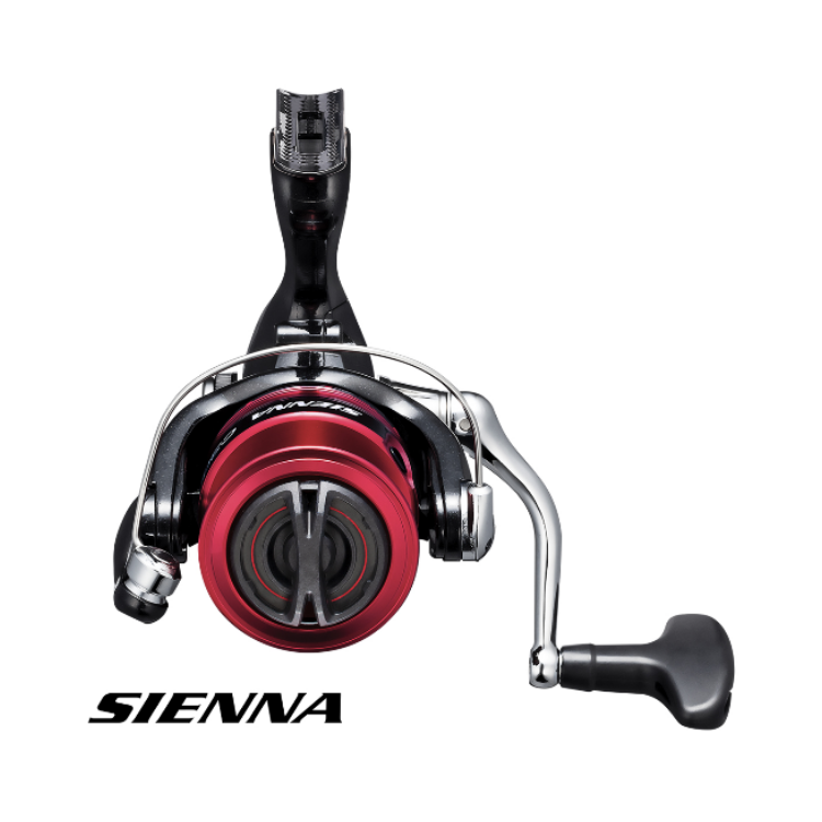 Shimano Sienna 1000-4000 Spinning Reel  Spinning Reels  Shimano  Cabral Outdoors  