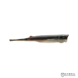 Zman Pop ShadZ™ Floating Popper | Size: 4" | 9g  Wedge Tail  Zman  Cabral Outdoors  