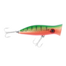 Halco Roosta Popper 80 Hard Lure 80mm/16g,1pcs/pkt  Popper  Halco  Cabral Outdoors  