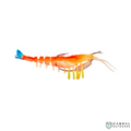 Hawas Live Action Shrimp | Size: 13cm | 16g | 2pcs/pk  Shrimp  Hawas  Cabral Outdoors  
