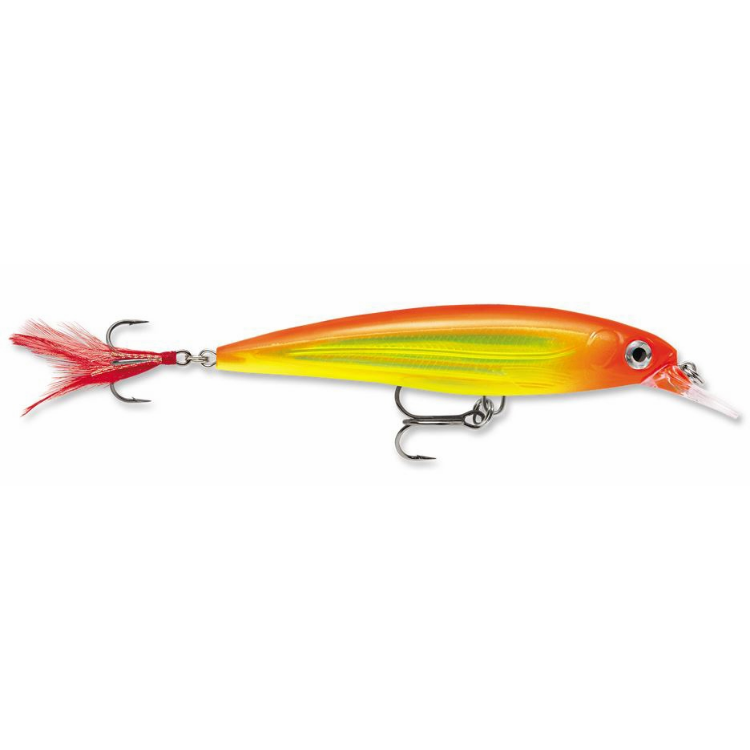 Rapala X-Rap XR10 Xtreme Action Slashbait Hard Lure | Size: 10cm | 13g  Jerk Baits  Rapala  Cabral Outdoors  