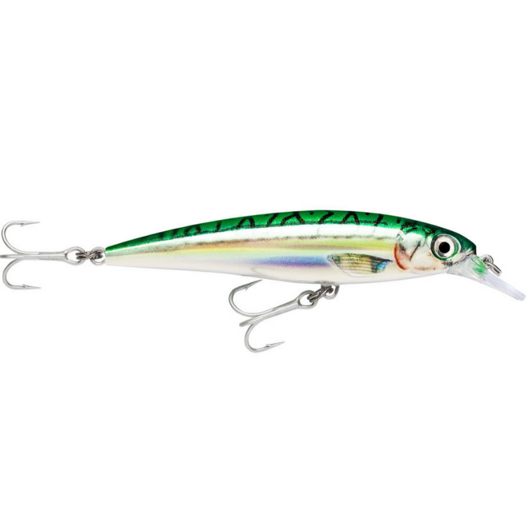 Rapala X-Rap SXR-12 Hard lure | Size: 12cm | 22g  Jerk Baits  Rapala  Cabral Outdoors  