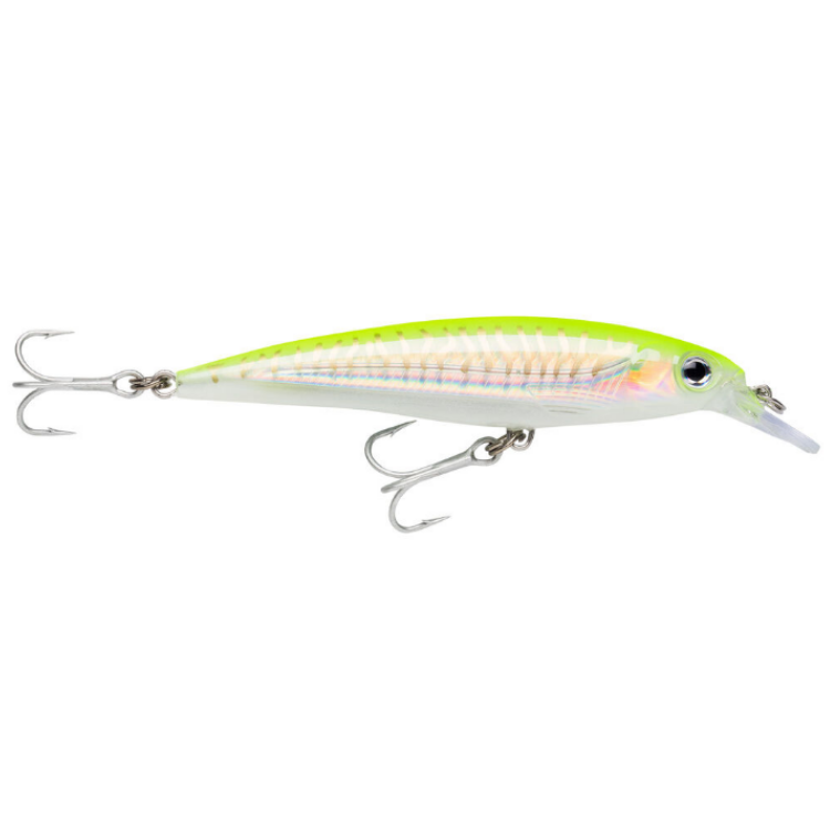 Rapala X-Rap SXR-12 Hard lure | Size: 12cm | 22g  Jerk Baits  Rapala  Cabral Outdoors  