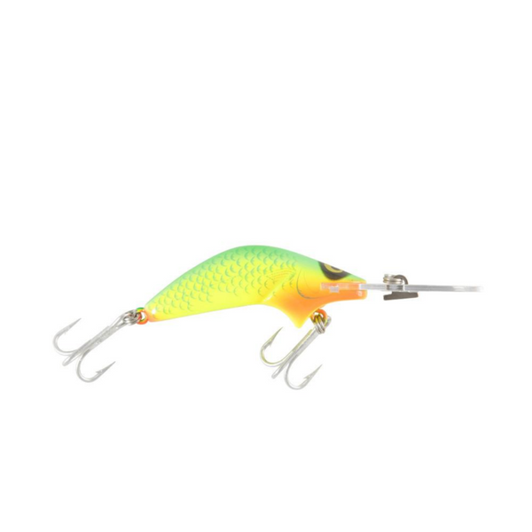 Lures Best Fishing Lures in India, COD option available Cabral Outdoors