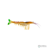 Jhinga Shrimp | 100mm-125mm | 7g-11g  Shrimp  Scaless  Cabral Outdoors  