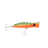 Halco Roosta Popper 105 Hard Lure 105mm/30g,1pcs/pkt  Popper  Halco  Cabral Outdoors  