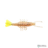 Zman SCENTED SHRIMPZ™ 4inch | 5pcs/pkt  Shrimp  Zman  Cabral Outdoors  