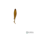 Lucana Predator Shad Soft Fishing Lure | Size: 10cm | 8g  Paddle Tail  Lucana  Cabral Outdoors  