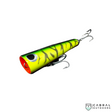 Borboleta Wood Popper Hard Lures | 10.5cm (4") | 29g  Popper  Borboleta  Cabral Outdoors  